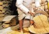 दुष्काळग्रस्त गडचिरोली व चामोर्शी तालुक्यांना प्राधान्याने मोफत धान्य