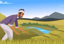 पीक विमा कंपन्यांची 200 कोटींची कमाई, शेतकऱ्यांना केवळ 16 कोटींची भरपाई