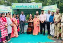 आला पावसाळा, झाडे लावा अन् जगवा, वनविभाग देणार निम्म्या किमतीत