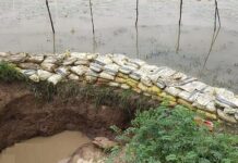 फुटलेल्या मामा तलावाला घातला बांध, बातमीनंतर अधिकाऱ्यांनी दाखवली तत्परता