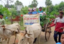 नवागतांची बैलगाडीतून मिरवणूक काढत केले जि.प.च्या शाळेत स्वागत