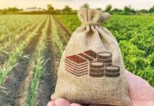 यावर्षी पीक विमा काढला की नाही? त्वरा करा, आज शेवटची तारीख