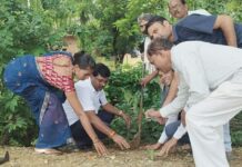 ‘एक पेड माँ के नाम’ उपक्रमांतर्गत वृक्षारोपणासाठी सरसावले आमदार