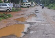 सिरोंचातील रस्त्यांना खड्डेमुक्त करा, शिवसेनेच्या करुणा जोशी यांची मागणी