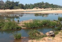 शेतात राहणाऱ्या वृद्ध पती-पत्नीची रहस्यमय हत्या, मृतदेह फेकले नदीत