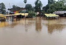 आतापर्यंत जिल्ह्यात 162 टक्के पाऊस, सर्वाधिक कुरखेडा तालुक्यात बरसला