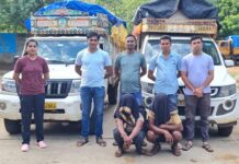 कत्तलीसाठी जाणाऱ्या 14 जनावरांना धानोरा पोलिसांनी दिले जीवदान