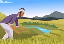 गेल्यावर्षीच्याच नुकसानीचे पैसे मिळाले नाही, यावर्षीचे कधी मिळणार?