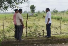 गेल्यावर्षीच्या नुकसानीसाठी मिळणार 6560 शेतकऱ्यांना 5.39 कोटींची मदत