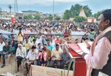 चामोर्शीतील तान्हा पोळ्यात नंदीबैलांसह विविध वेशभुषेतील बालकांचा सहभाग