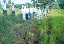 हत्तींचा मोर्चा आता आरमोरी तालुक्यात, वैरागडच्या शेतकऱ्यांचे पीक तुडवले