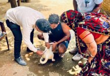 ‘रेबिजमुक्त भारत’ अभियानाला सुरूवात, पाळीव प्राण्यांचे मोफत लसीकरण