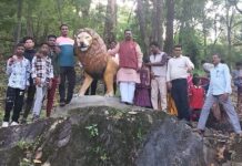 मुतनूरच्या पहाडावर उभारले जातेय आदिशक्ती दुर्गामातेचे भव्य मंदिर