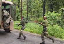 छत्तीसगडच्या सीमेवरील चकमकीत पोलिसांच्या गोळीने घेतला पाच नक्षलींचा वेध