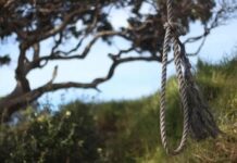 दोन्ही हात बांधून, तरीही झाडावर घेतला गळफास? युवकाचा गूढ मृत्यू