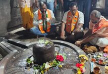 भाजपच्या जनआशिर्वाद यात्रेचे चामोर्शीत दिंडीने स्वागत, मार्कंडेश्वराला साकडे