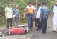 वेळ साधत काळाने घातली झडप, महिला ठार, तिघींसह युवक जखमी