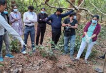 जंगलात आढळला अर्धवट गाडलेला मानवी सांगाडा, हत्या केल्याची शक्यता