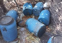 जांभळीच्या जंगलात 24 ड्रम मोहाच्या सडव्यासह 20 लिटर दारू केली नष्ट