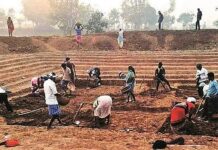 रोजगार निर्मितीत गडचिरोली विदर्भात अव्वल, दिड लाख लोकांना लाभ