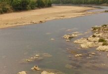 वैनगंगेच्या वाहत्या पाण्यात शिरून महिलेने वाचवले तीन मुलांचे प्राण