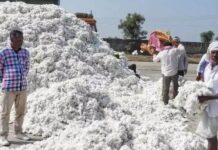 आजपासून सुरू होणार अनखोडा केंद्रावर कापूस विक्रीसाठी नोंदणी