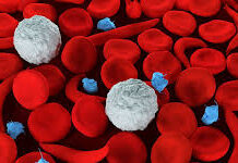 आजपासून सिकलसेल नियंत्रण सप्ताह, प्रत्येक गावात, शाळेत होणार तपासणी