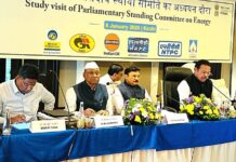 गडचिरोली जिल्ह्यात हायड्रो पॅावर प्रोजेक्ट निर्माण करा- खा.किरसान