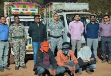 देसाईगंज पोलिसांनी अवैध गोवंश वाहतूक करणारे वाहन केले जप्त