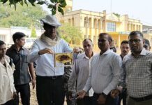 कमी गुंतवणुकीत अधिक नफा हवा असल्यास ‘या’ व्यवसायाकडे वळा