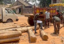 बेतकाठीच्या जंगलातून सागवानाची तस्करी, लाखोंचा मुद्देमाल जप्त