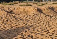 रेती चोरीला आळा घालण्यासाठी जिल्ह्यात 6 खनिज डेपो कार्यान्वित