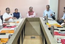 क्रिकेटप्रमाणे थ्रो-बॉलच्या प्रिमियर लीगचे आयोजन करण्यावर मंथन