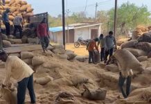 अहेरीतील धान अपहारप्रकरणी गोदाम व्यवस्थापक, रक्षक निलंबित