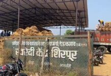 देऊळगाव सोसायटीच्या धान खरेदीत 2 वर्षात 10 हजार क्विंटलचा अपहार