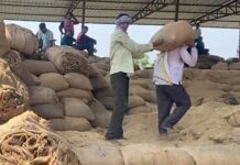 चामोर्शीत धानाच्या बोनसचा घोटाळा? एसडीओंच्या नेतृत्वात समिती गठीत