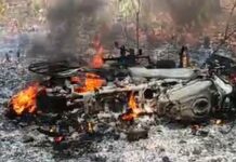 भरधाव वेगातील बाईक झाडावर धडकली, तीन युवकांचा मृत्यू