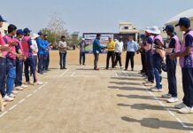 गडचिरोलीत क्रिकेट अकादमी सुरू करा, आम्ही मार्गदर्शन करू