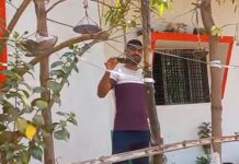 तापत्या उन्हात पक्ष्यांची तहान भागवण्यासाठी हक्काची पाणपोई