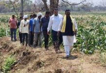 रानटी हत्तींनी फस्त केले मक्याचे पीक, मा.खा.नेते दुचाकीने पोहोचले शेतात