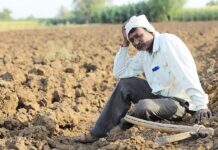 दुसऱ्या हंगामाची वेळ आली, आता शेतकऱ्यांना धानाचा बोनस कधी?