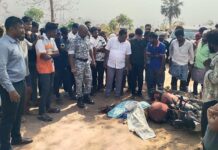 दाम्पत्याच्या दुचाकीला ट्रकची धडक, महिला ठार, पुरूष गंभीर जखमी