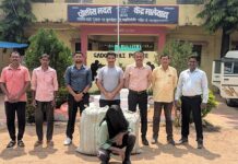 कुरखेडा तालुक्यात गांजाची शेती, घरातून 1.12 लाखांचा गांजा जप्त