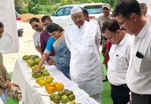 गडविरोलीच्या आंबा महोत्सवात ‘सीईओ’ने सुद्धा खाल्ला भाव