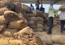 धान घोटाळ्यातील फरार आरोपी भास्कर डांगे बेपत्ता