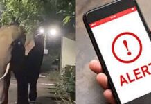 हत्ती 5 किलोमीटरवर असताना मोबाईलवर मिळणार ‘अलर्ट’