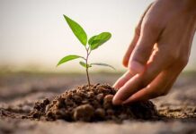 वृक्षारोपणाबाबतच्या निर्णयाचे डॅा.साळवे यांच्याकडून स्वागत