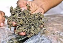 अंमली पदार्थाची तस्करी आणि सेवन करणाऱ्यांवर कारवाई