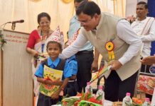 जिल्हाभरात शाळा प्रवेशोत्सव, मुरखळाच्या शाळेत आले मंत्री