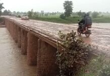 दक्षिण गडचिरोलीतील पुलांचे स्ट्रक्चरल ऑडिट व देखरेख